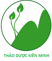 Nhân viên tư vấn dược 