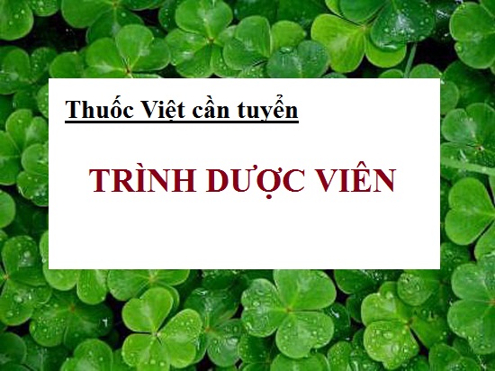 Công ty TNHH Dược phẩm Thuốc Việt