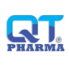 QT Corp